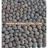 Vietnamese Lotus Seeds grade AAA