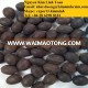 LOTUS SEEDS, BLACK LOTUS SEEDS, WHITE LOTUS SEEDS