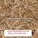 Cheap - price WOOD SAWDUST for fuel and animal bedding.